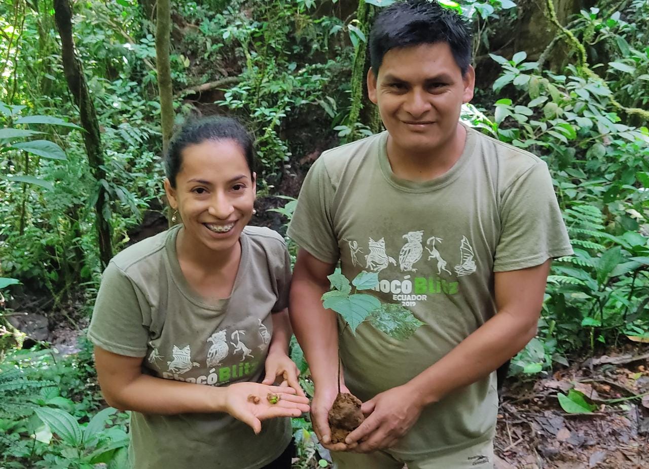 Recuperación de 4 especies de árboles amenazados del Chocó